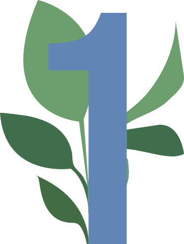 Number 1 with plant