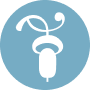 scorecard icon
