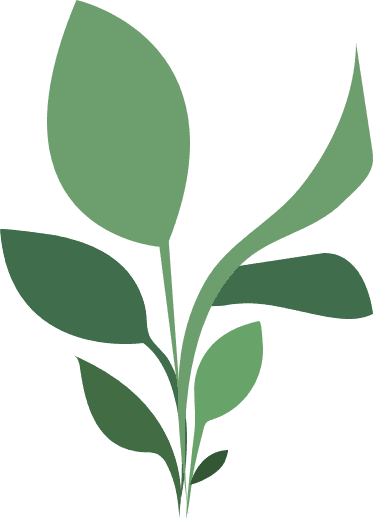 growing plant